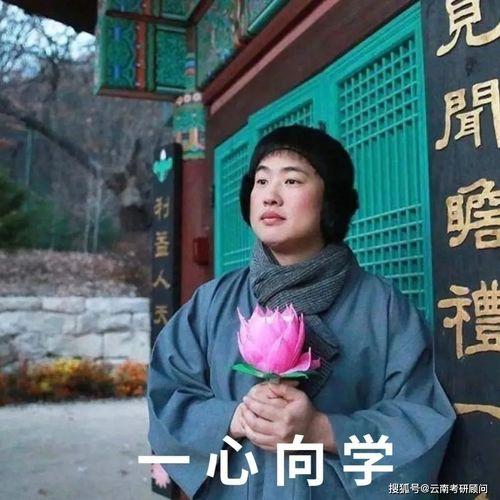 飒飒飒乔杉表情包,演绎幽默风趣的喜剧魅力