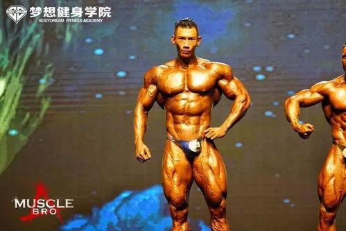 鹿晨辉早期照片,见证青春岁月的蜕变之路